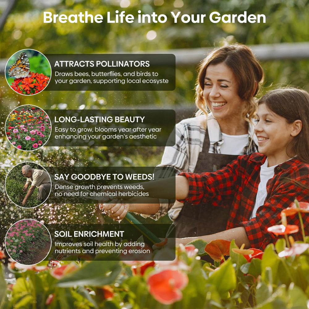 Groundio wildflower seeds package side view with weight details