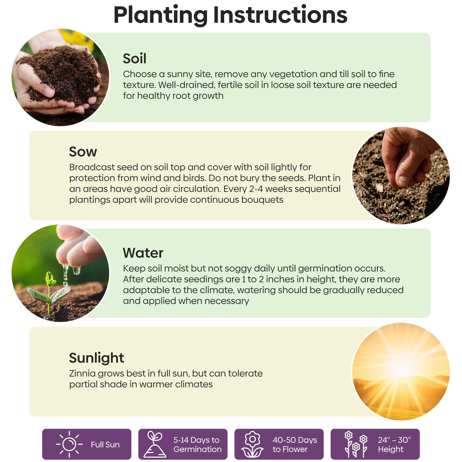 Groundio Zinnia Seeds Mix in hand with garden background