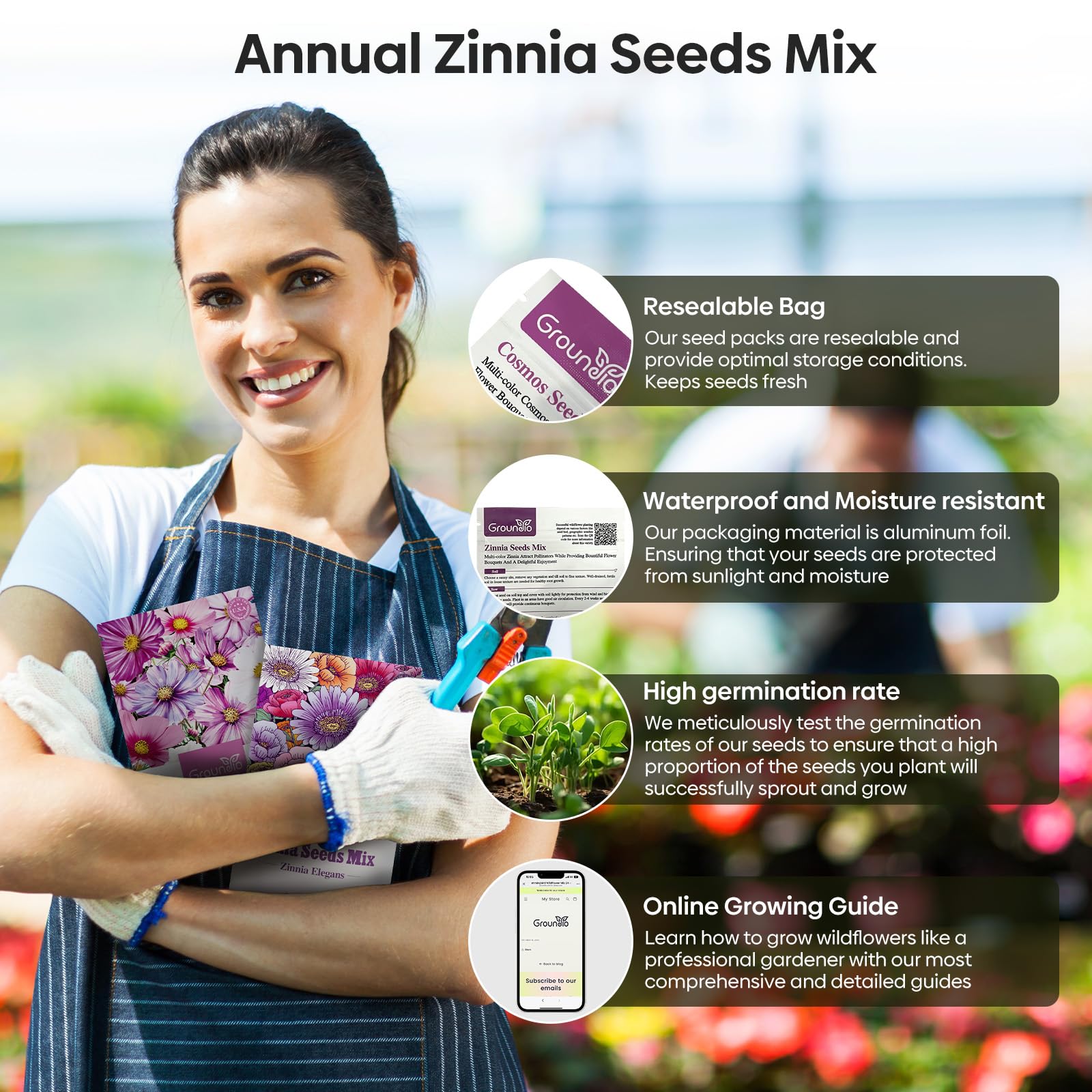 Groundio Zinnia Seeds mixed colours blooming in garden