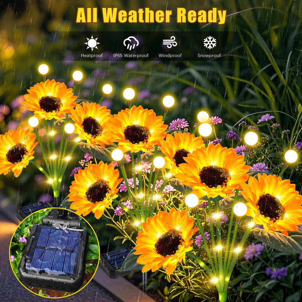 Group of EDOF Solar Sunflowers lit up together in a garden