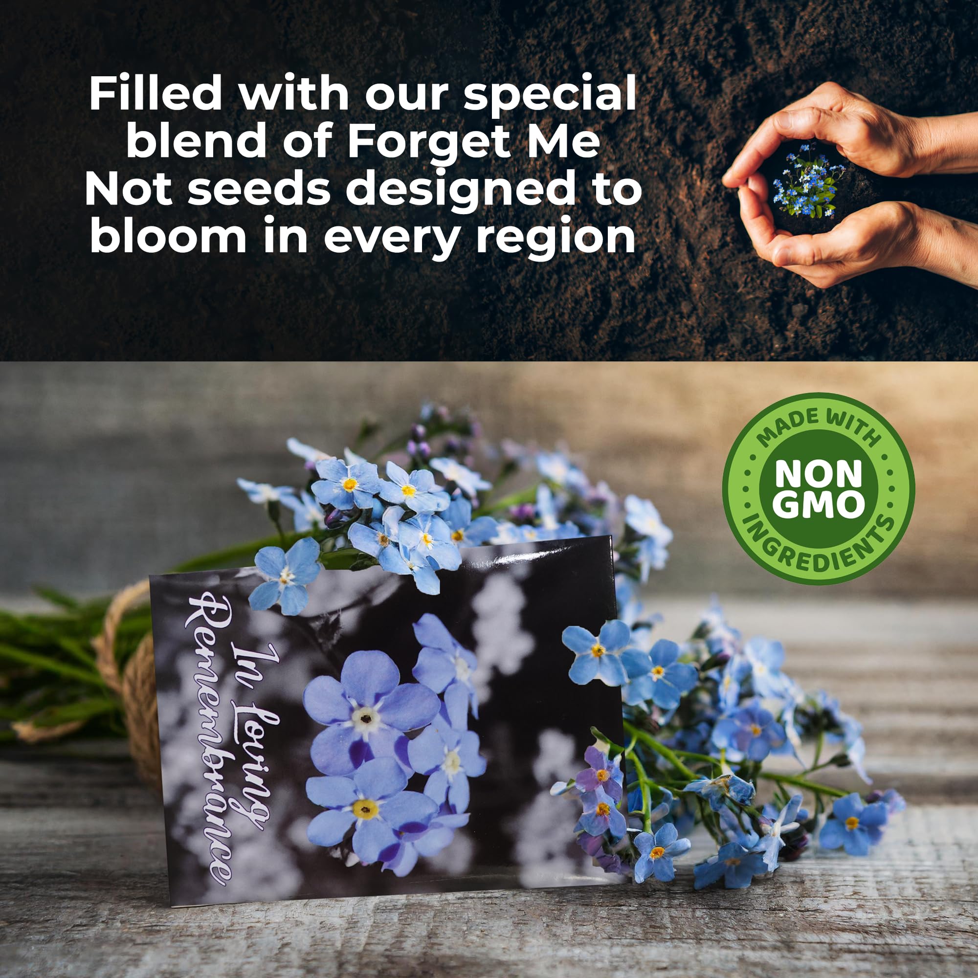 Group of Forget Me Not seed packets ready for distribution