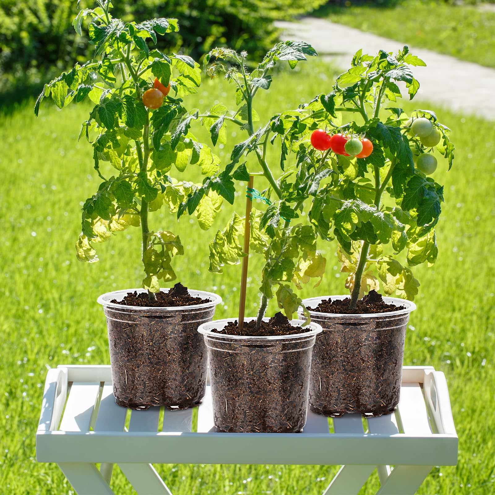Group of JNYONG nursery pots on a gardening table