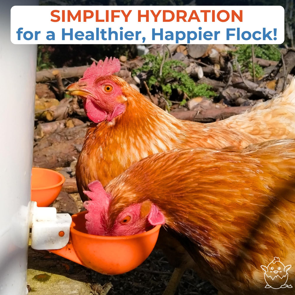 Group of Lil'Clucker Automatic Chicken Waterer Cups in orange