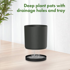 Group of Meowell plant pots in different sizes