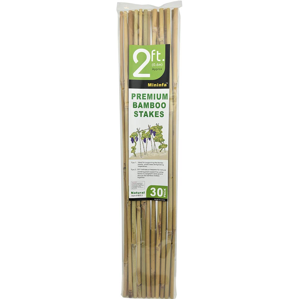 Group of Mininfa Bamboo Stakes with various plants