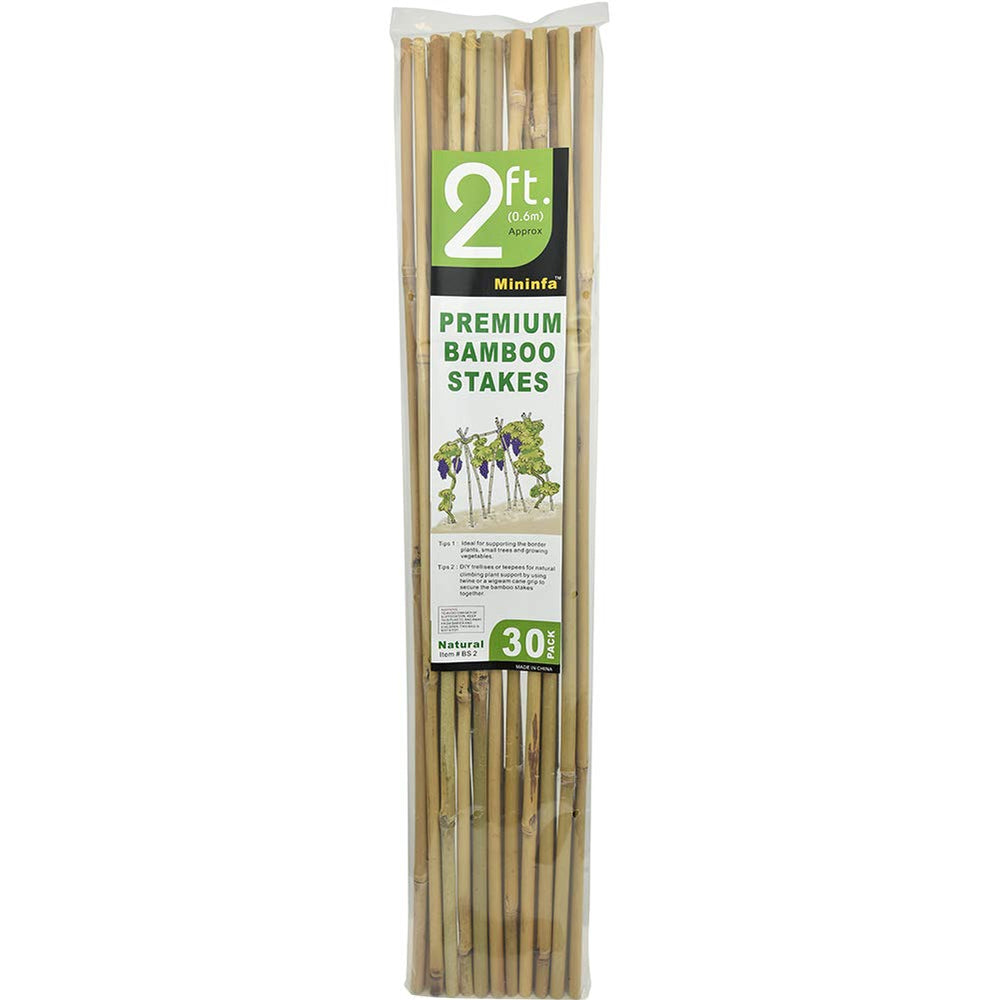 Group of Mininfa Bamboo Stakes with various plants