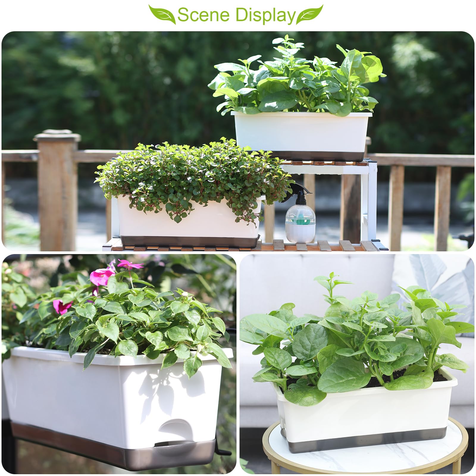 Group of Oliz self-watering planters on a windowsill