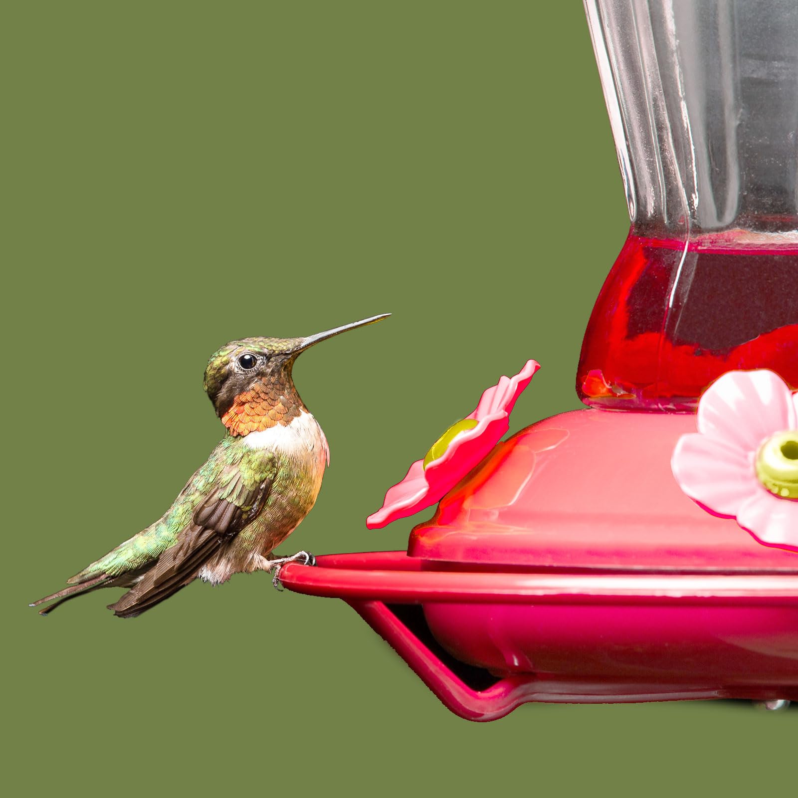 Group of Patelai 16 hummingbird feeder replacement flowers on a table