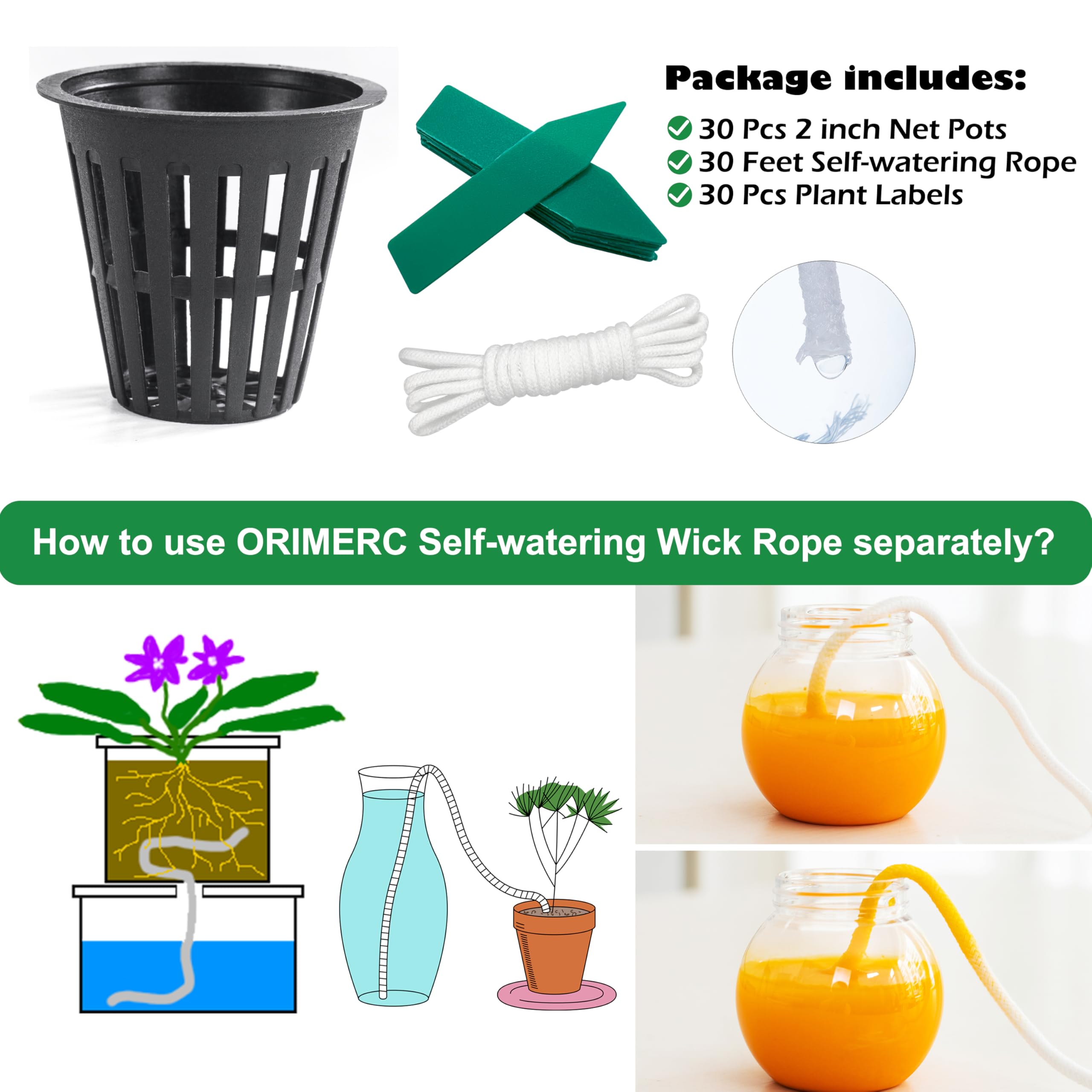 Group of plants in ORIMERC net pots