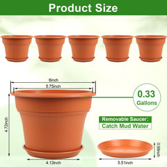 Group of Pottiffe 6 inch terracotta plant pots on a shelf