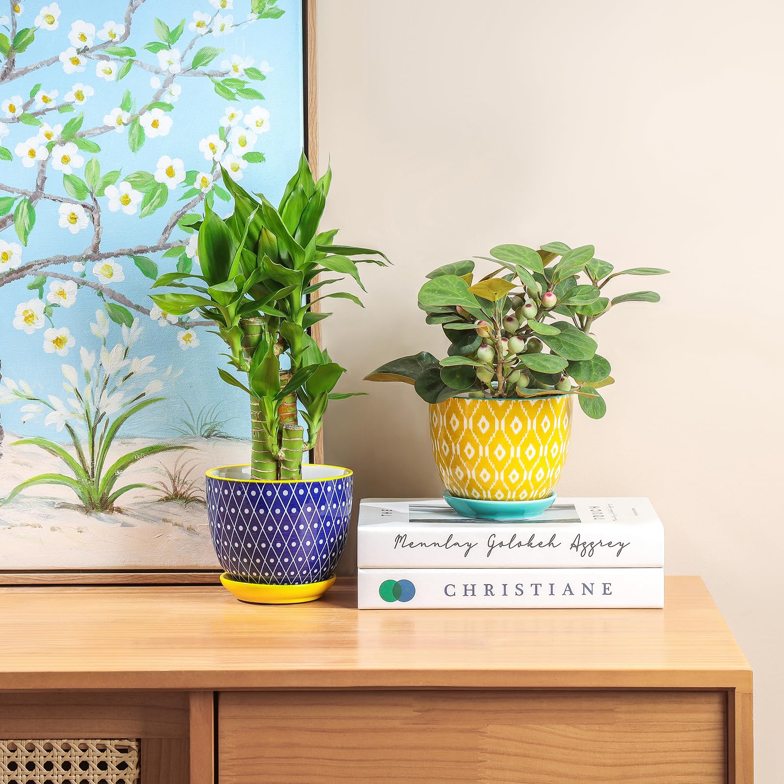 Group of Selamica ceramic pots with succulents and cacti
