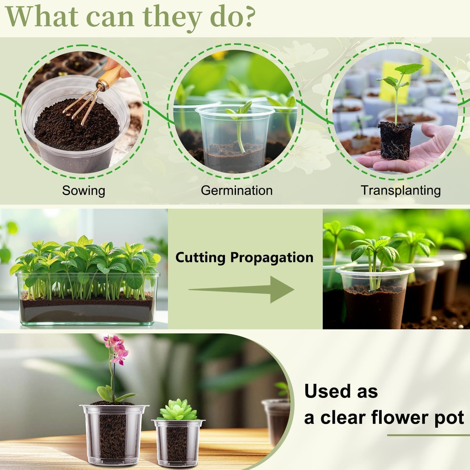 Group of SupKing clear nursery pots in various sizes