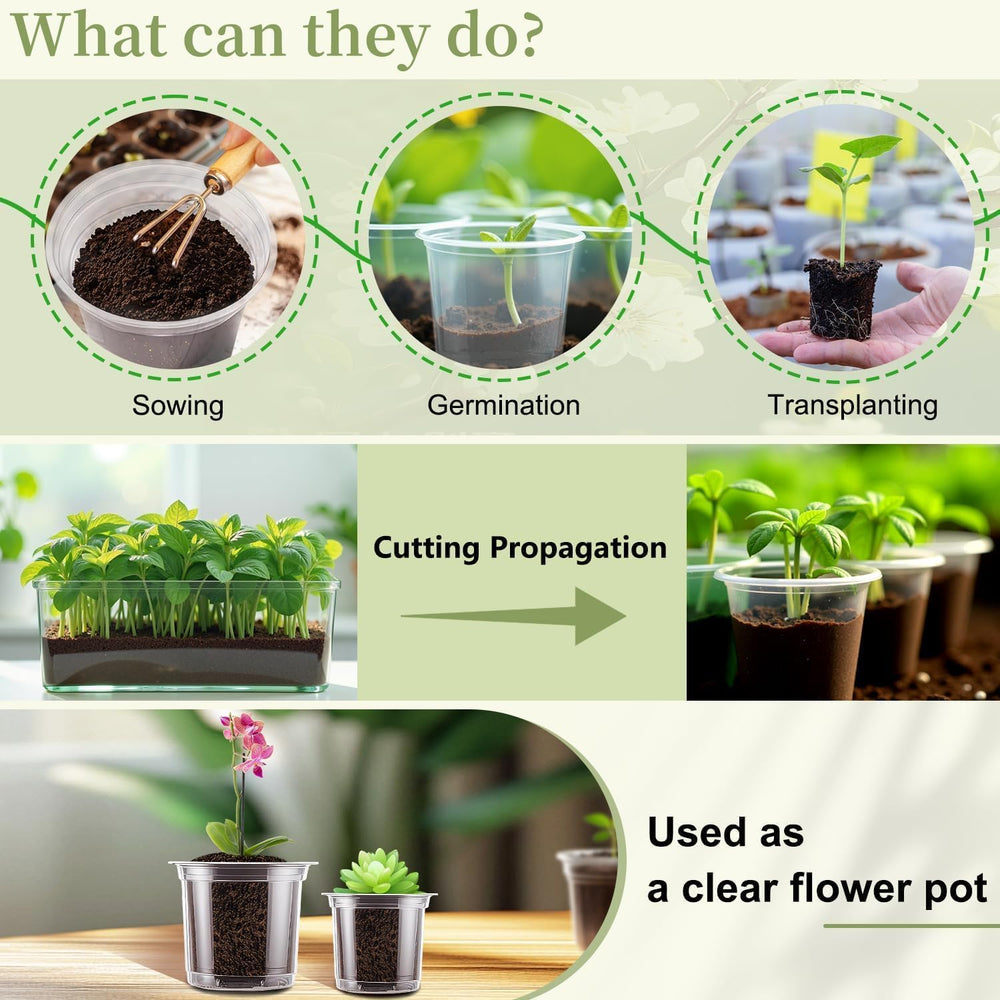 Group of SupKing clear nursery pots in various sizes