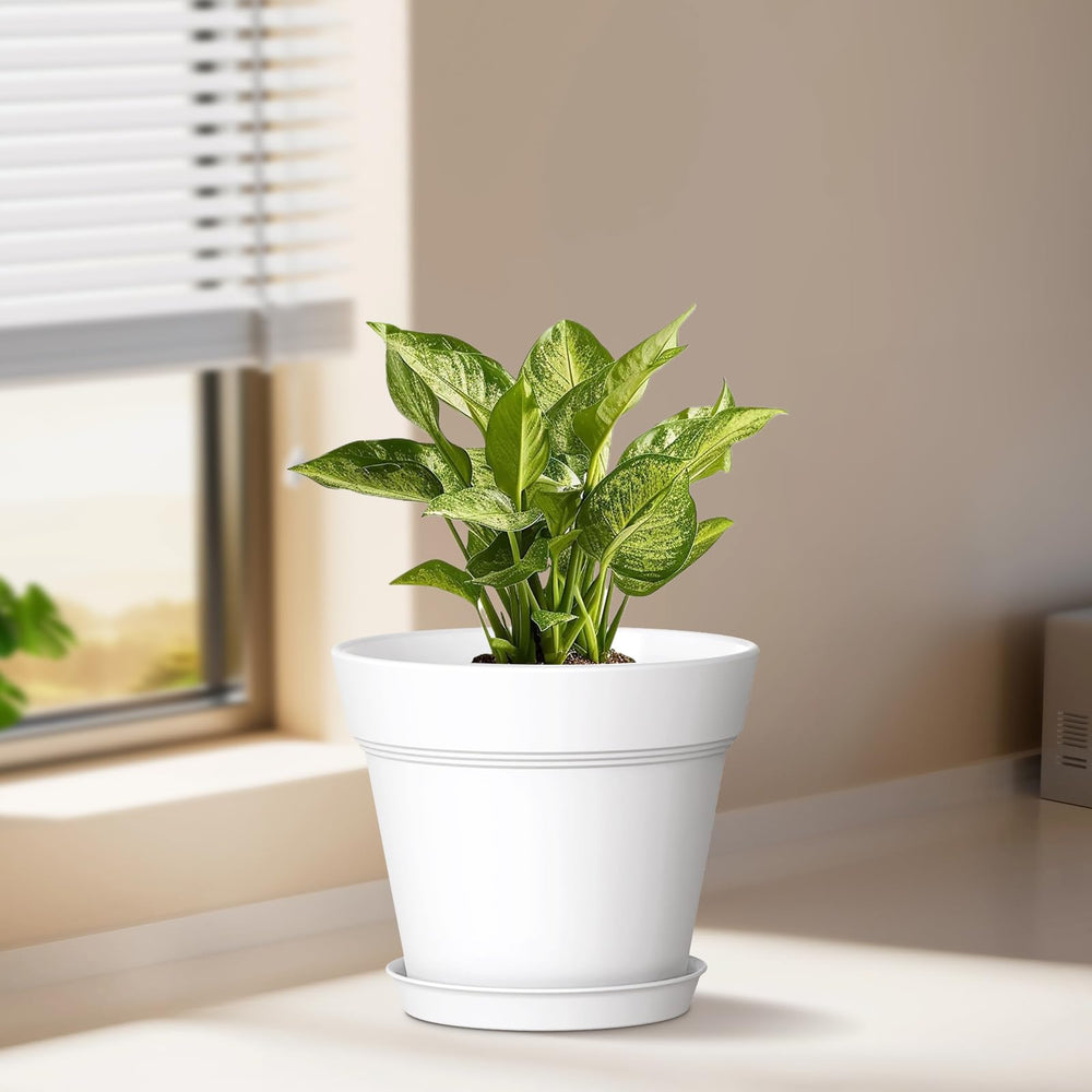 Group of WSMKSZ 5 Inch Plastic Plant Pots, white color