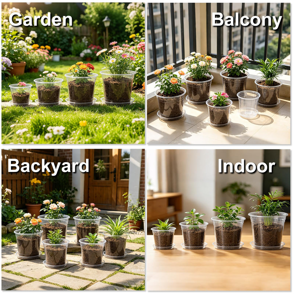 Grouping of Hemikaki nursery pots with various plants