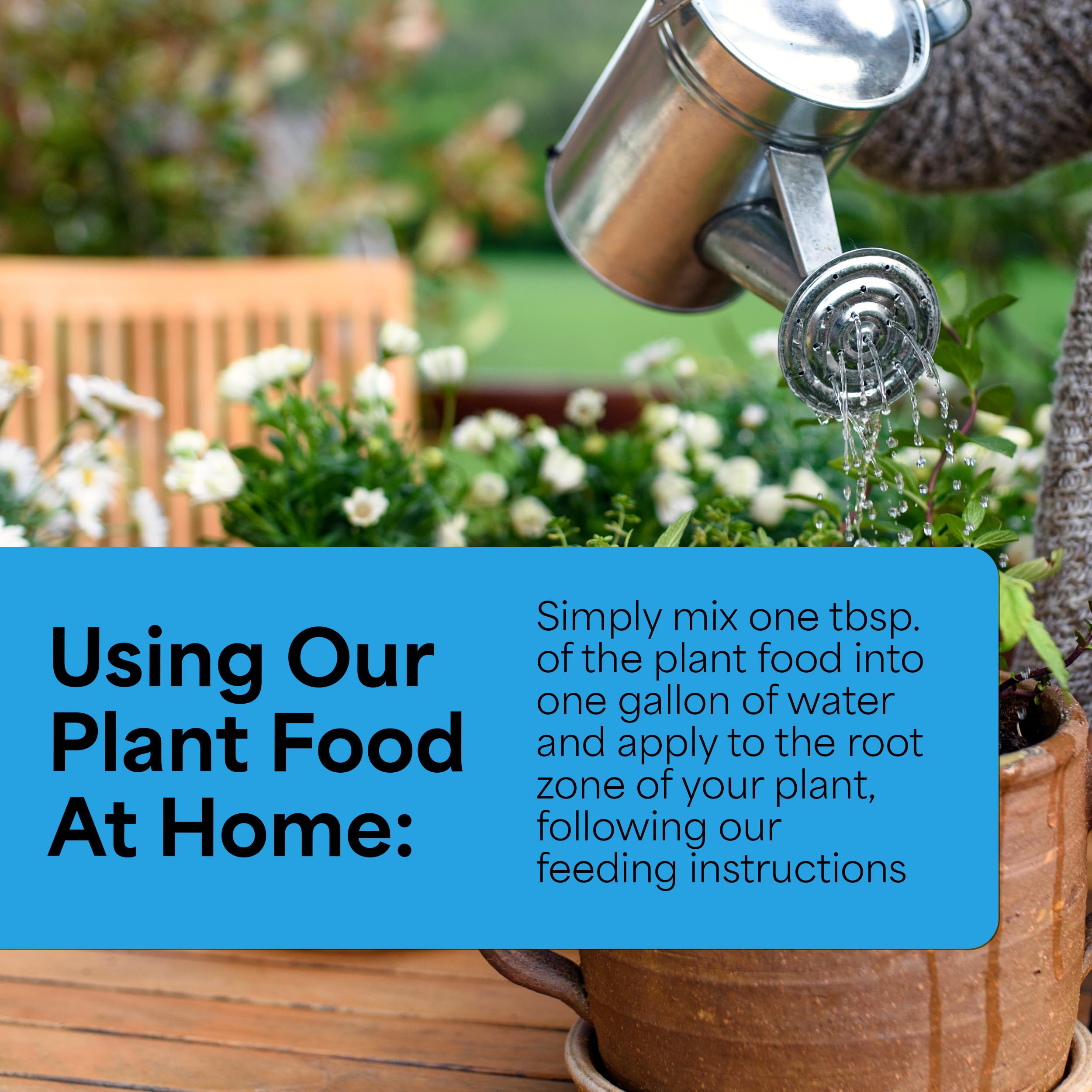 Grow More fertilizer usage in a garden setting