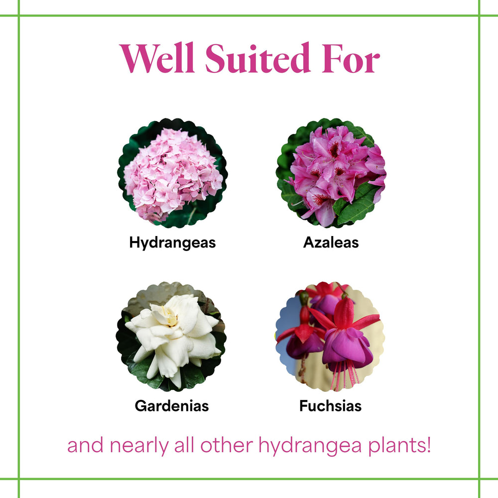 Grow More Hydrangea Blueing Formula powder in a garden setting