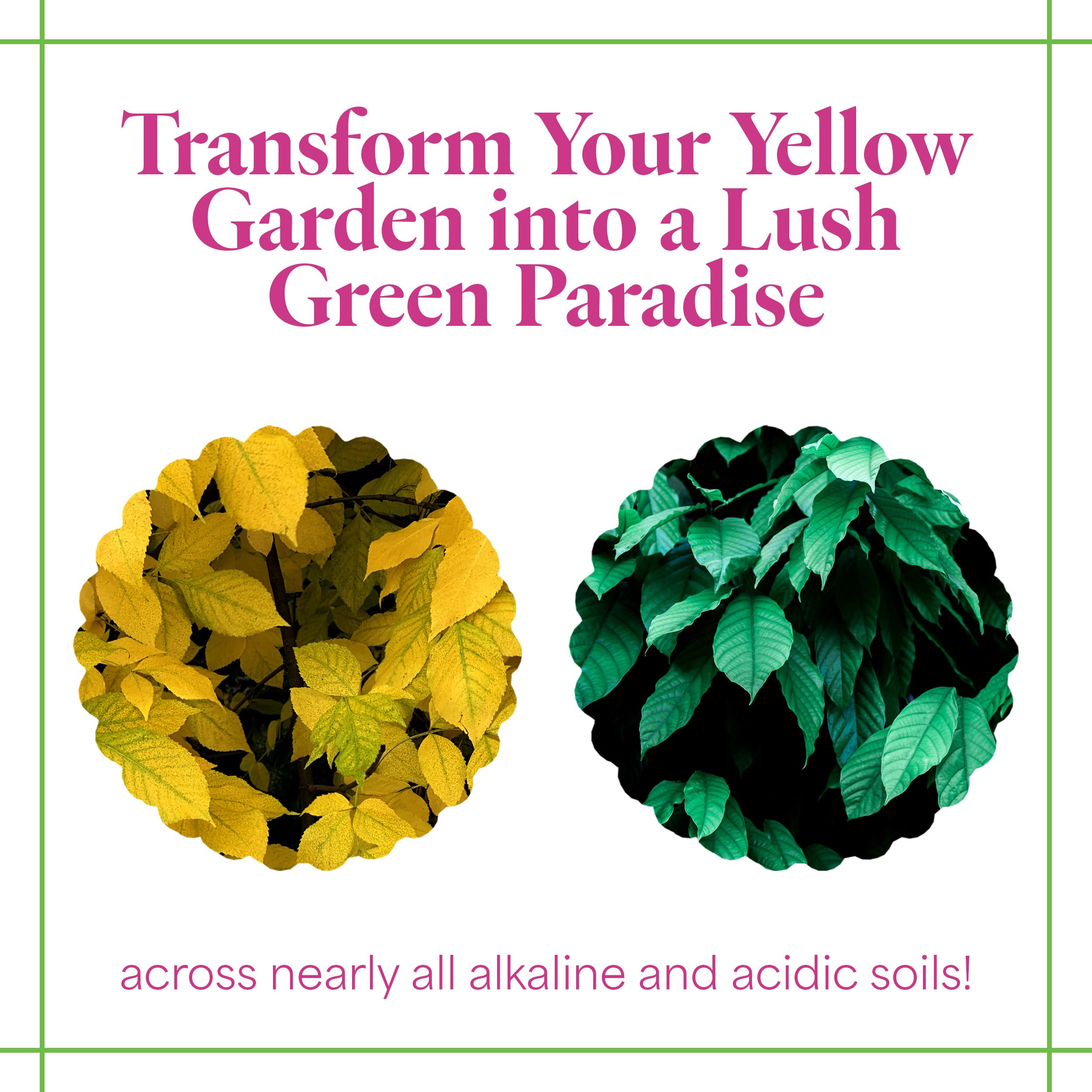 Grow More Iron Chelate Concentrate powder close-up