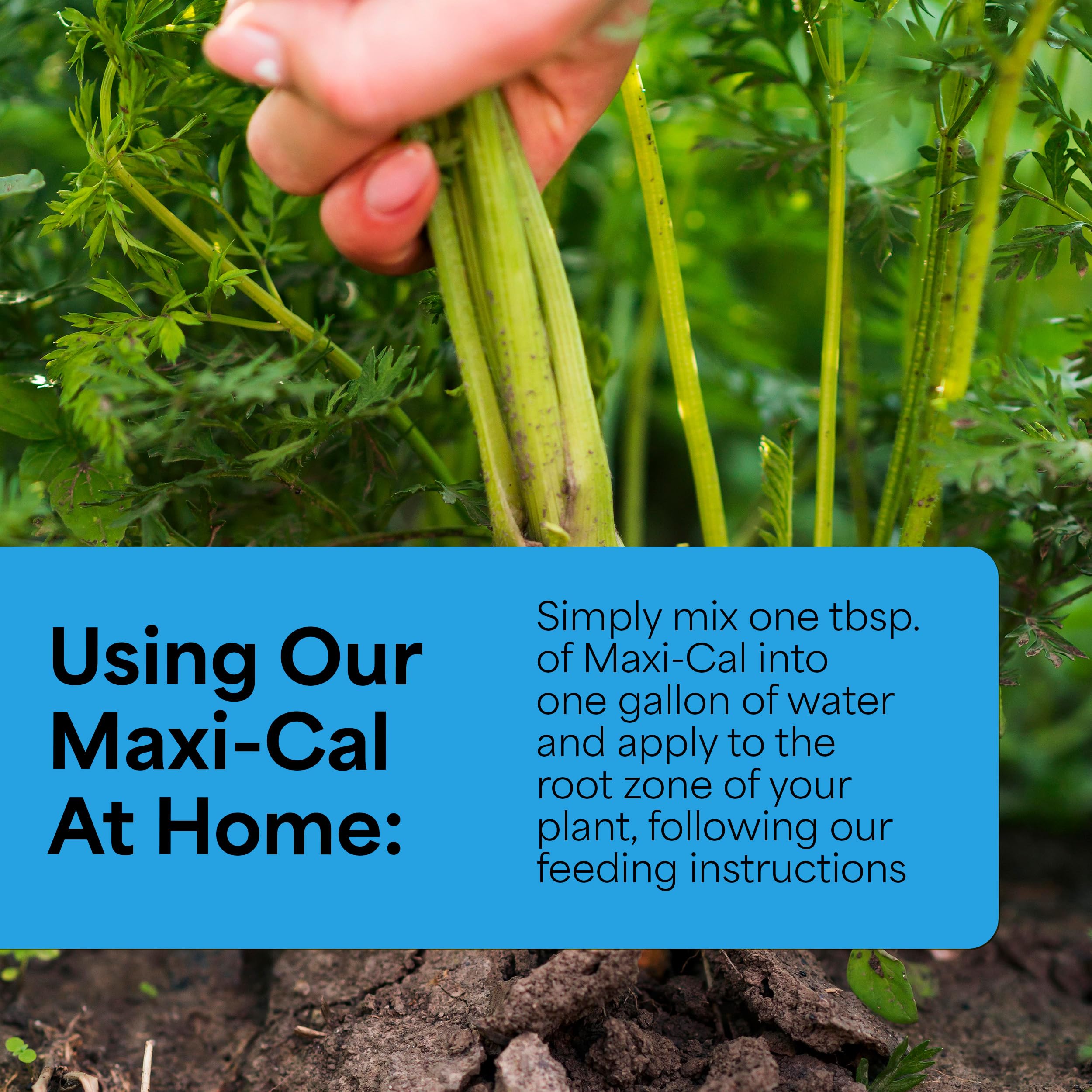 Grow More Maxi-Cal Fertilizer displayed in a garden setting