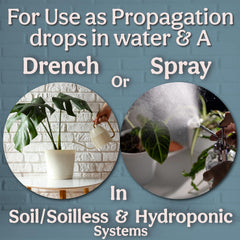 Grow Queen Liquid Kelp application on houseplants