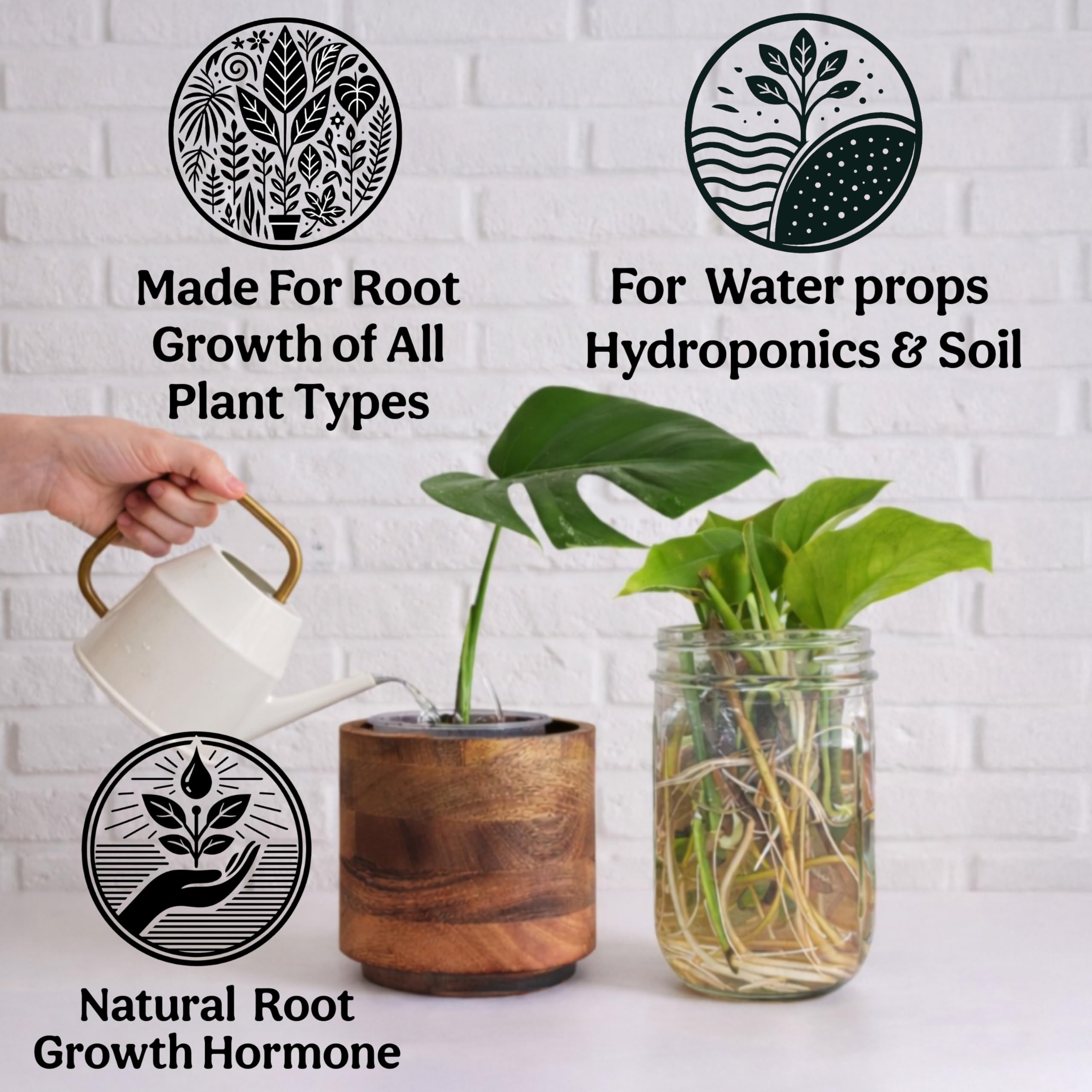 Grow Queen Liquid Kelp in use for hydroponic setup