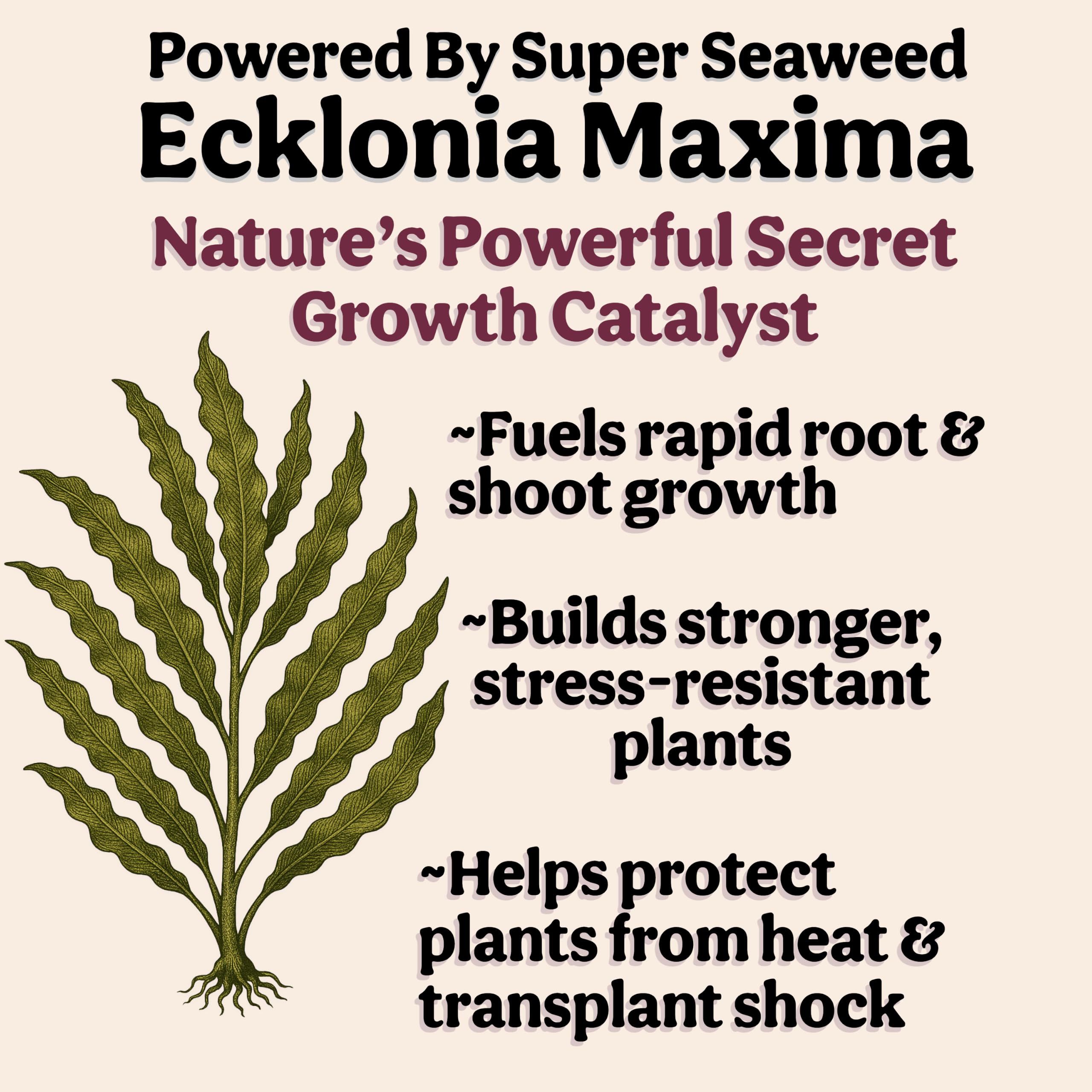 Grow Queen Organic Liquid Fertilizer displayed with various houseplants