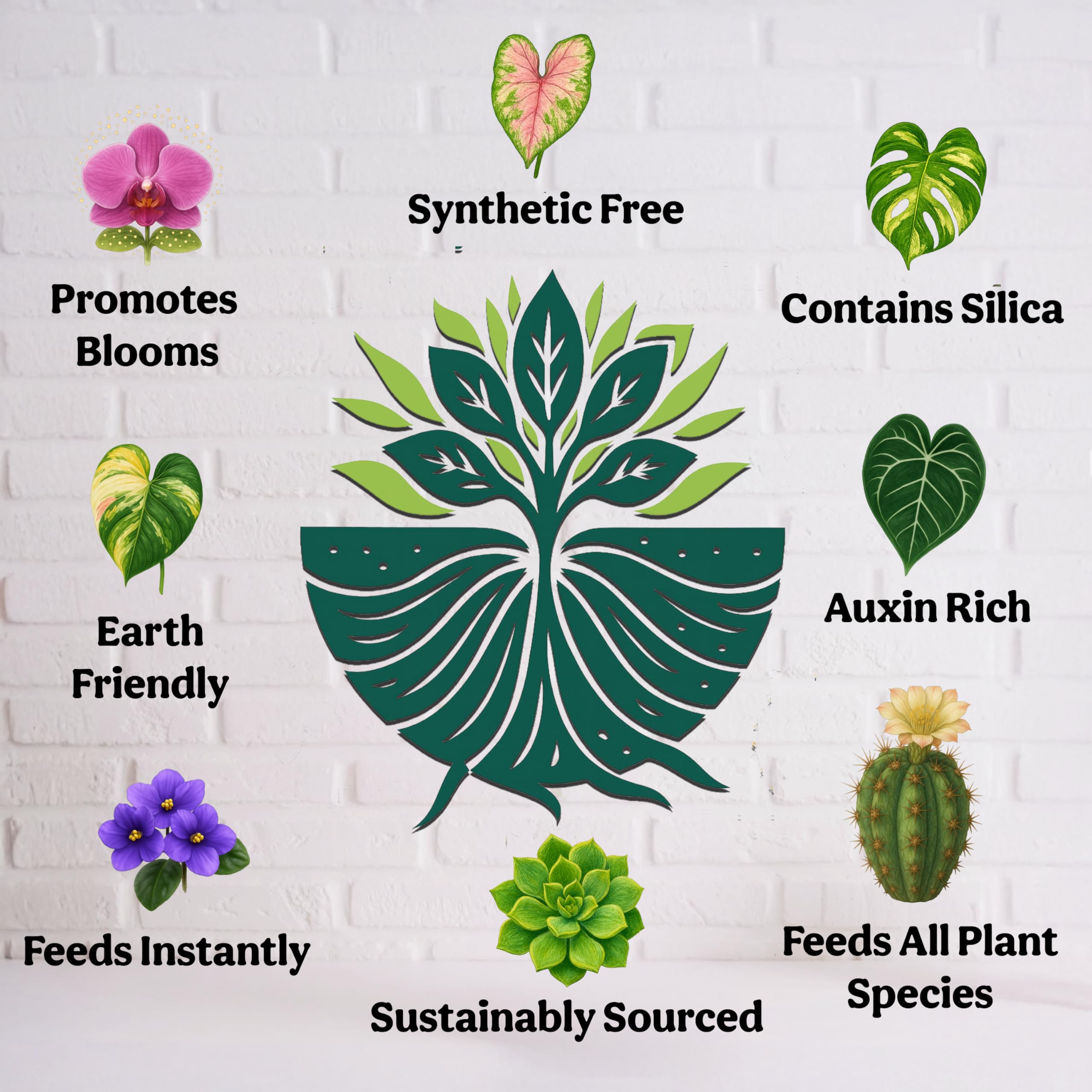 Grow Queen Organic Liquid Fertilizer in use, watering indoor plants
