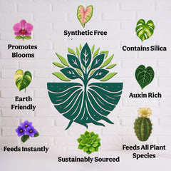 Grow Queen Organic Liquid Fertilizer in use, watering indoor plants