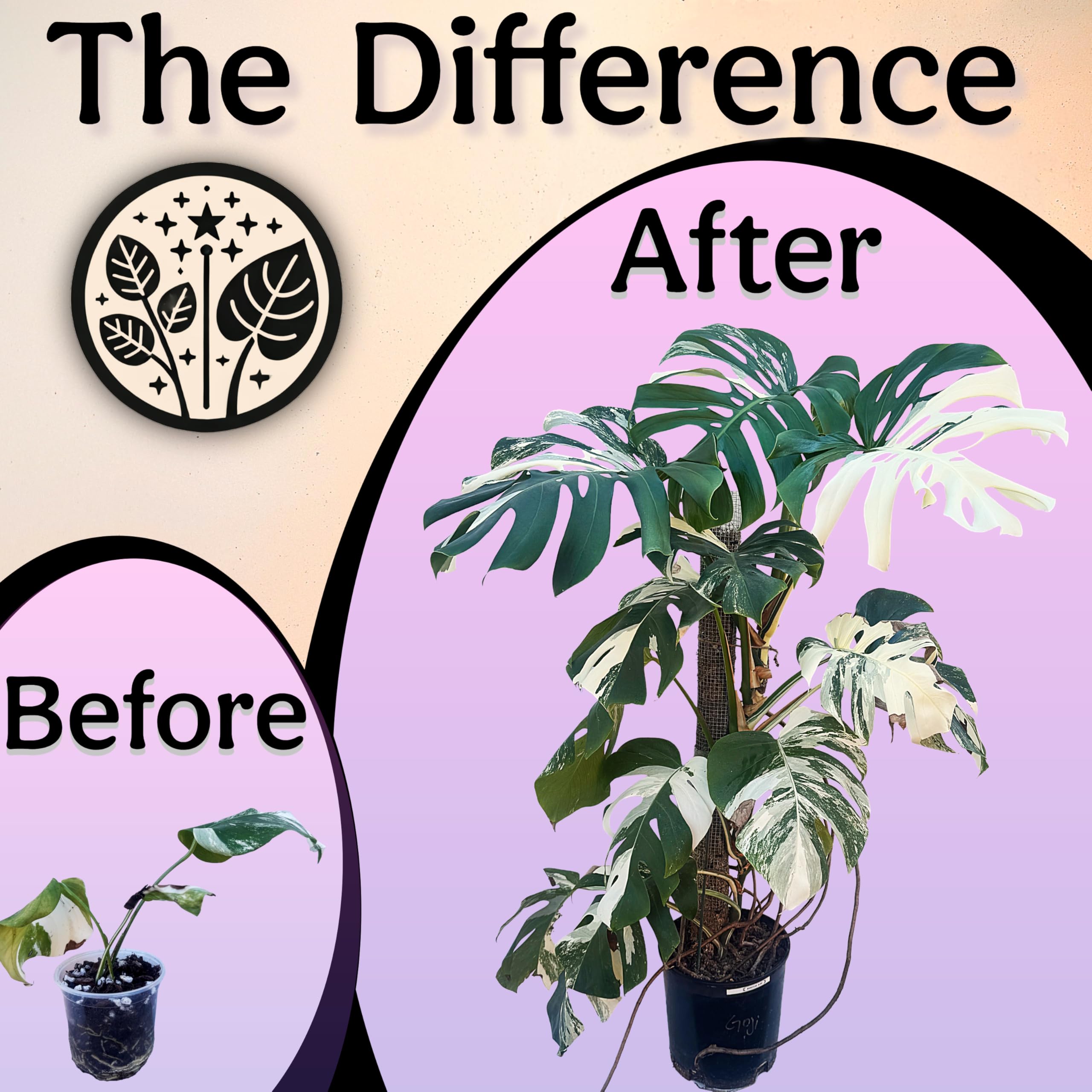 Grow Queen Organic Liquid Fertilizer with plants in the background