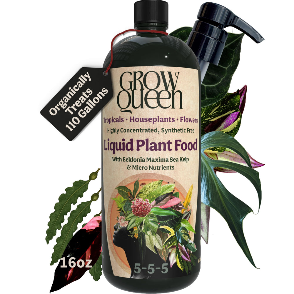 Grow Queen Organic Liquid Indoor Plant Food 5-5-5 16oz bottle front view