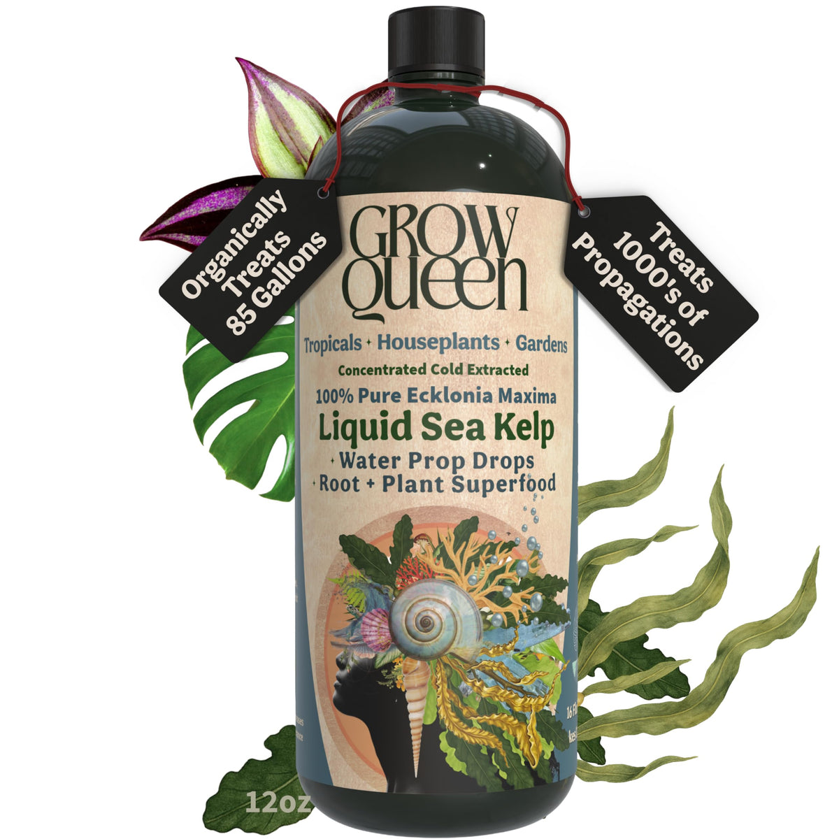 Grow Queen Organic Liquid Kelp 12oz bottle front view