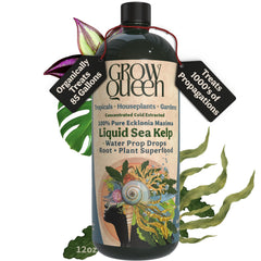Grow Queen Organic Liquid Kelp 12oz bottle front view