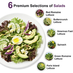 Grow sponges and domes from Majero Salad Greens Seed Pod Kit