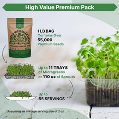 Growing arugula microgreens in soil tray
