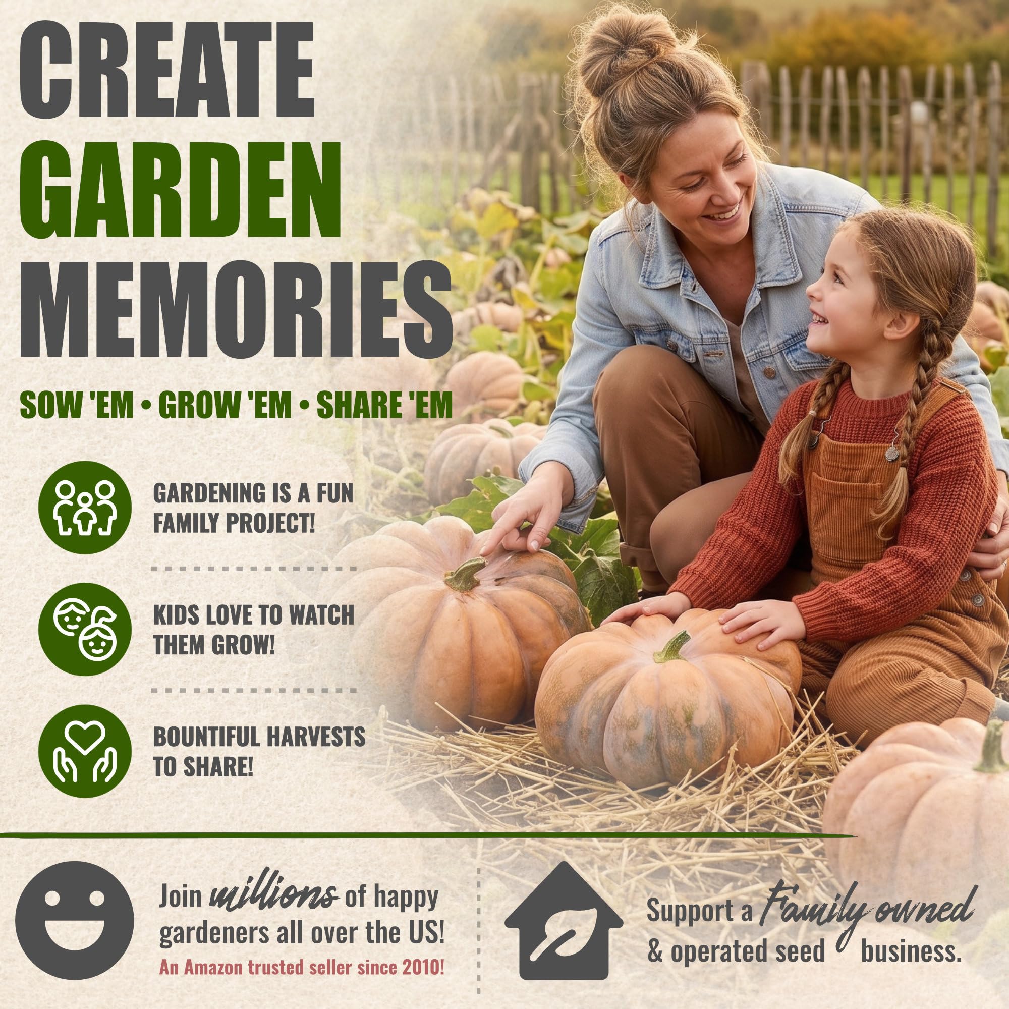 Growing Fairytale Pumpkins on a vibrant vine