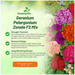 Growing geraniums from seeds in a sunny garden