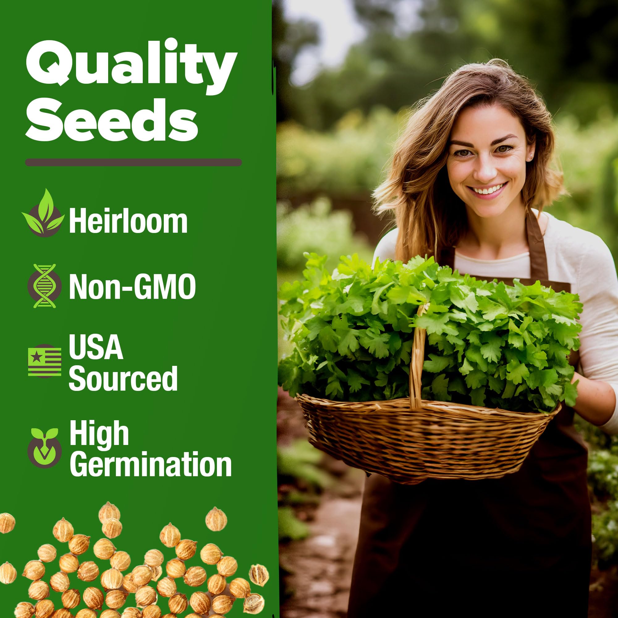 Growing guide for HOME GROWN Cilantro seeds