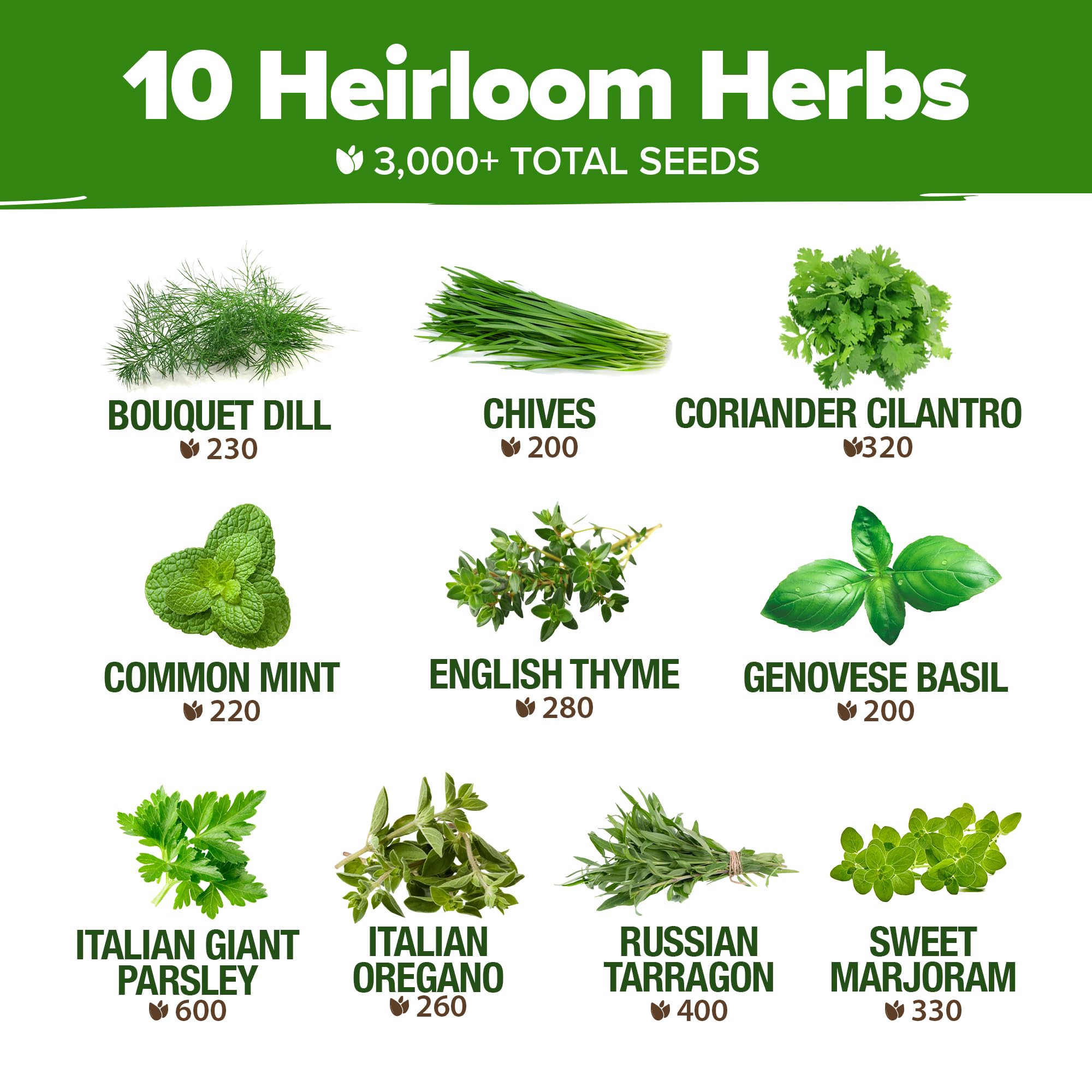 Growing guide included in the HOME GROWN herb kit