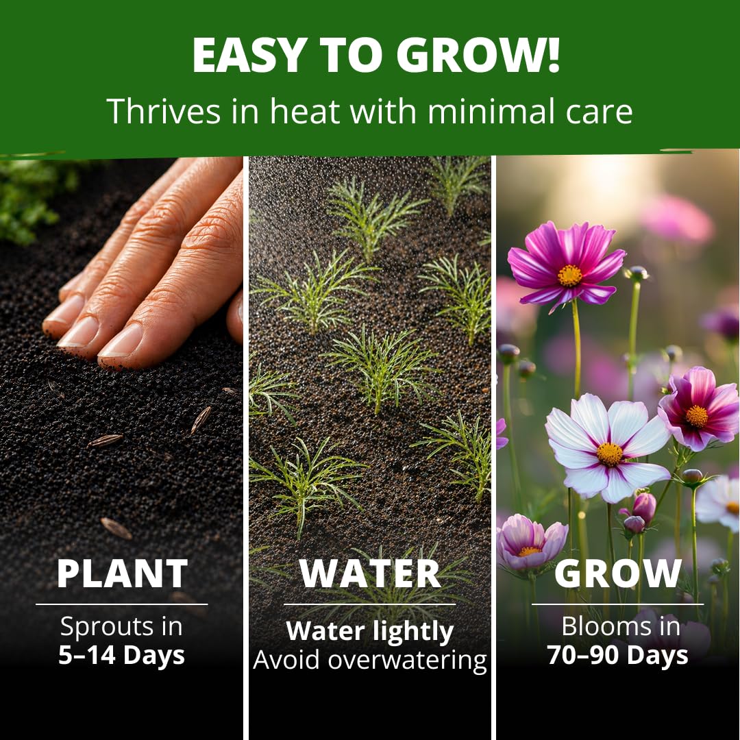 Growing guide included with HOME GROWN seeds