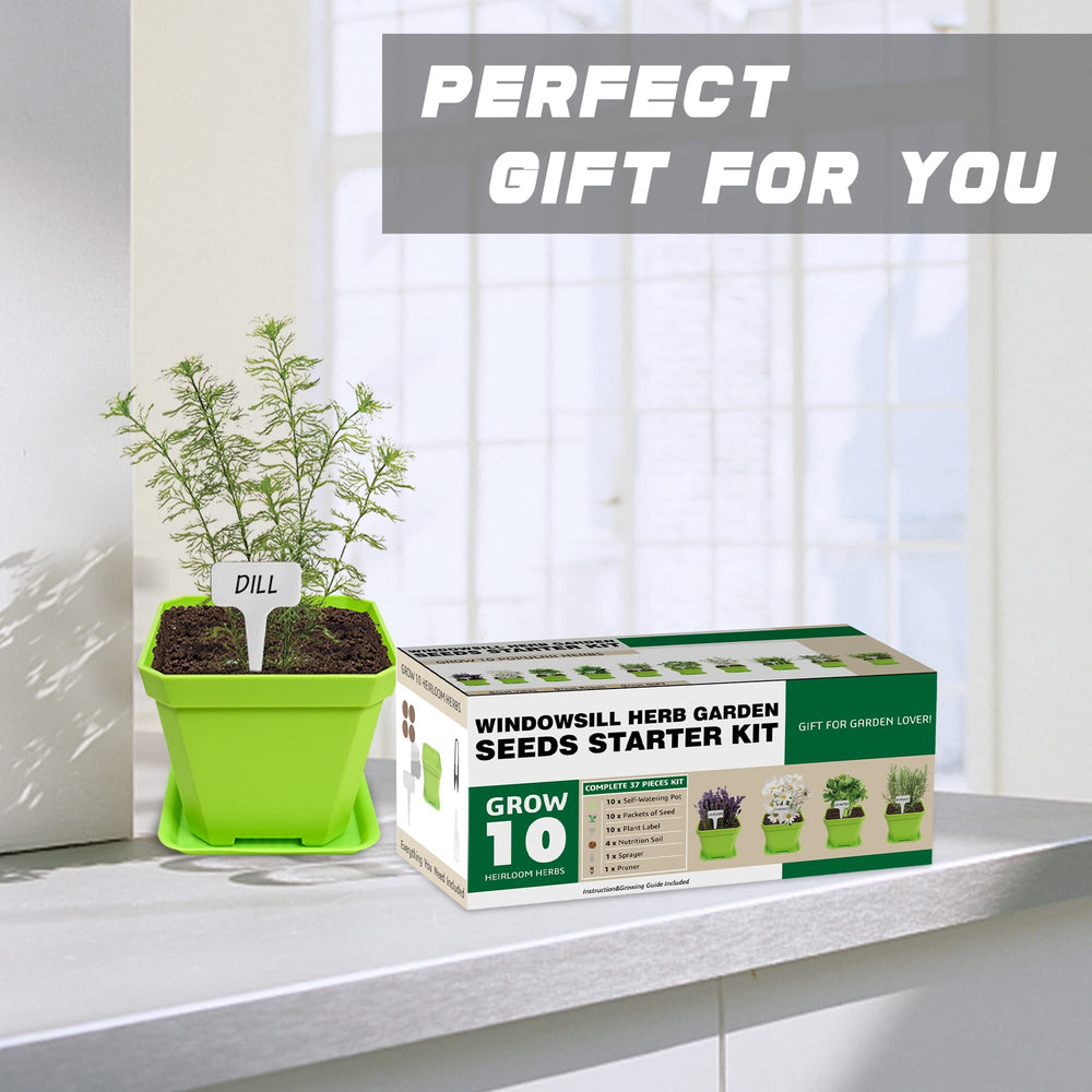 Growing herbs on a kitchen windowsill with Meekear kit