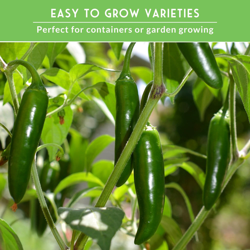 Growing instructions included with pepper seeds