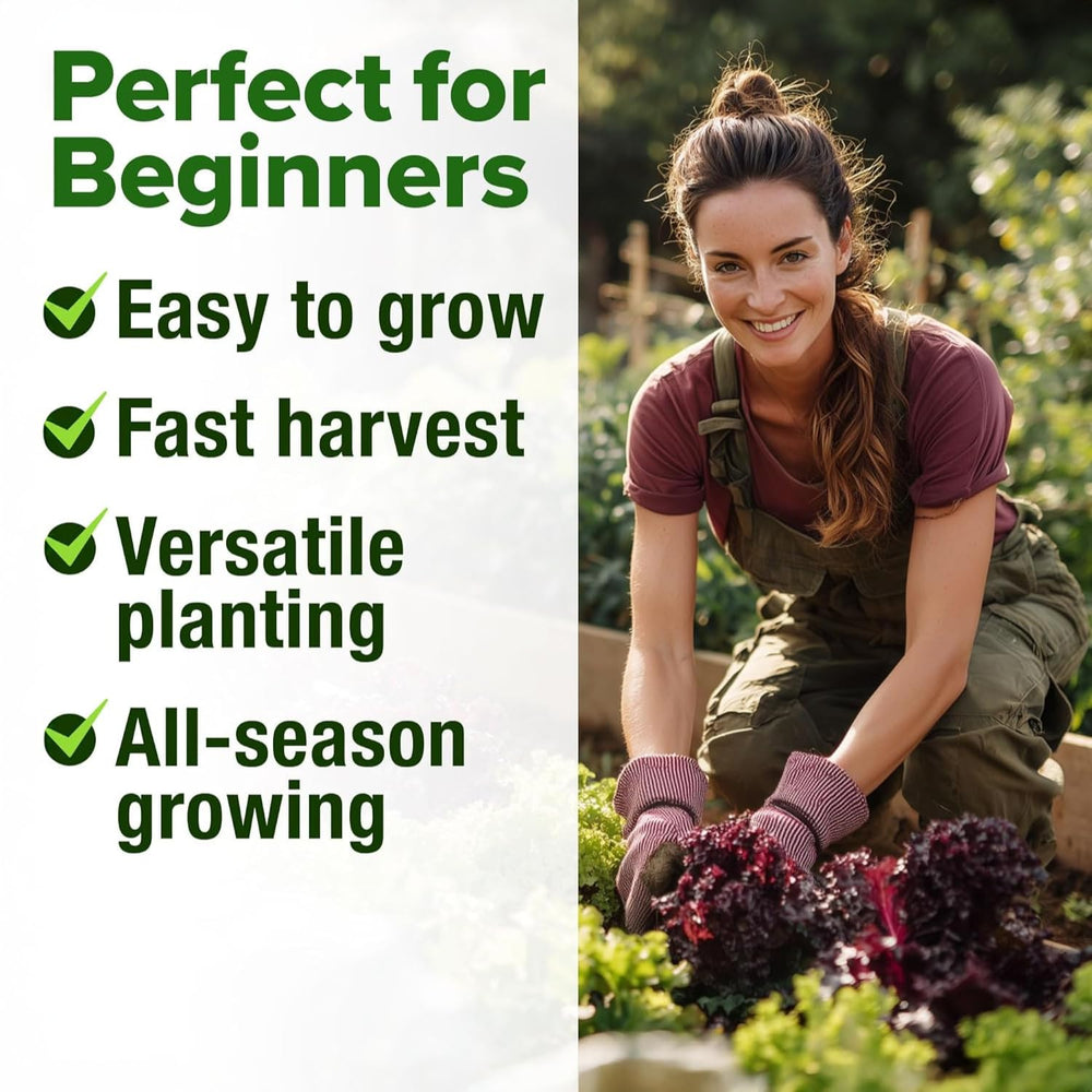 Growing Kale and Spinach alongside lettuce varieties