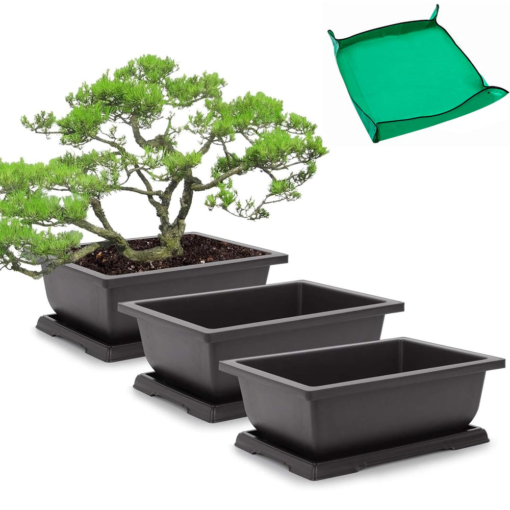 GROWNEER 11 Inch Bonsai Training Pot with drainage tray