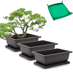 GROWNEER 11 Inch Bonsai Training Pot with drainage tray