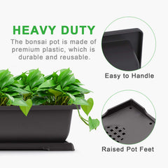 GROWNEER 11 Inch Bonsai Training Pots in outdoor setting