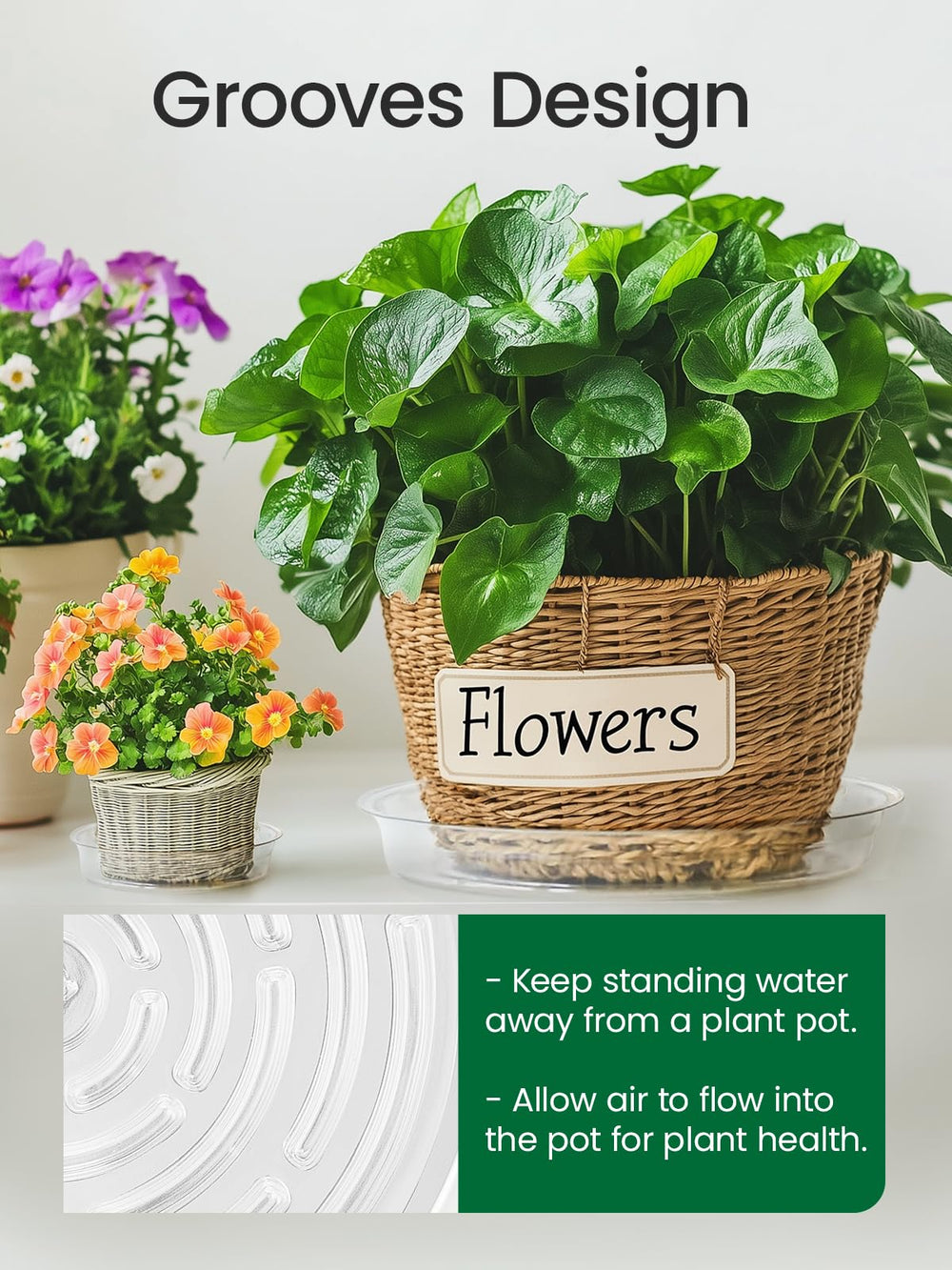GROWNEER 12-inch clear plant saucer on patio