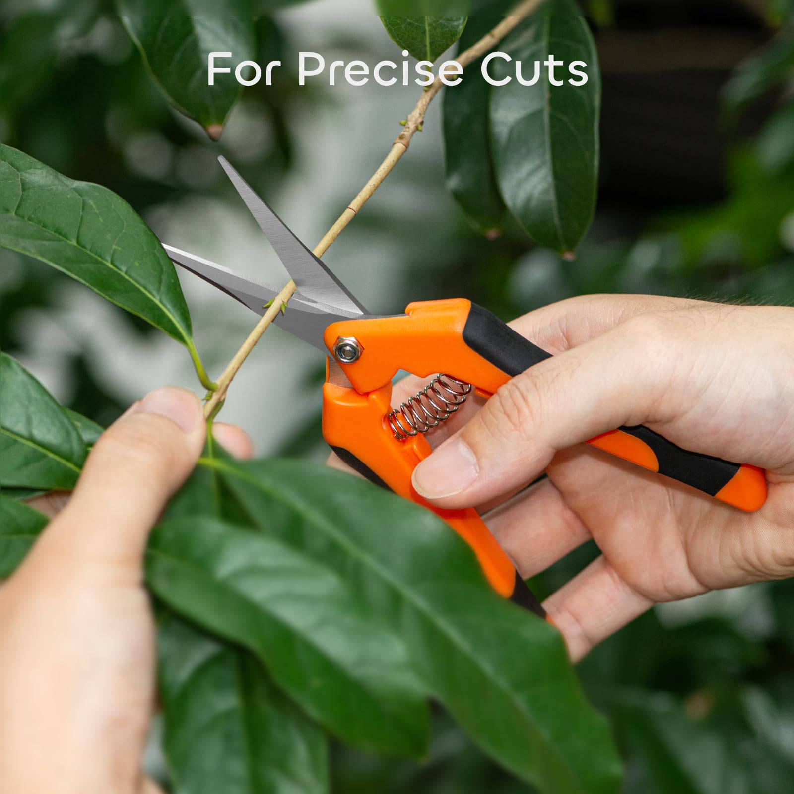 GROWNEER 6.5 inch stainless steel pruning shears close-up