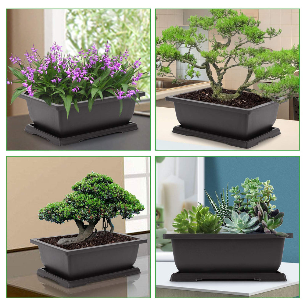 GROWNEER bonsai pot raising design with tray