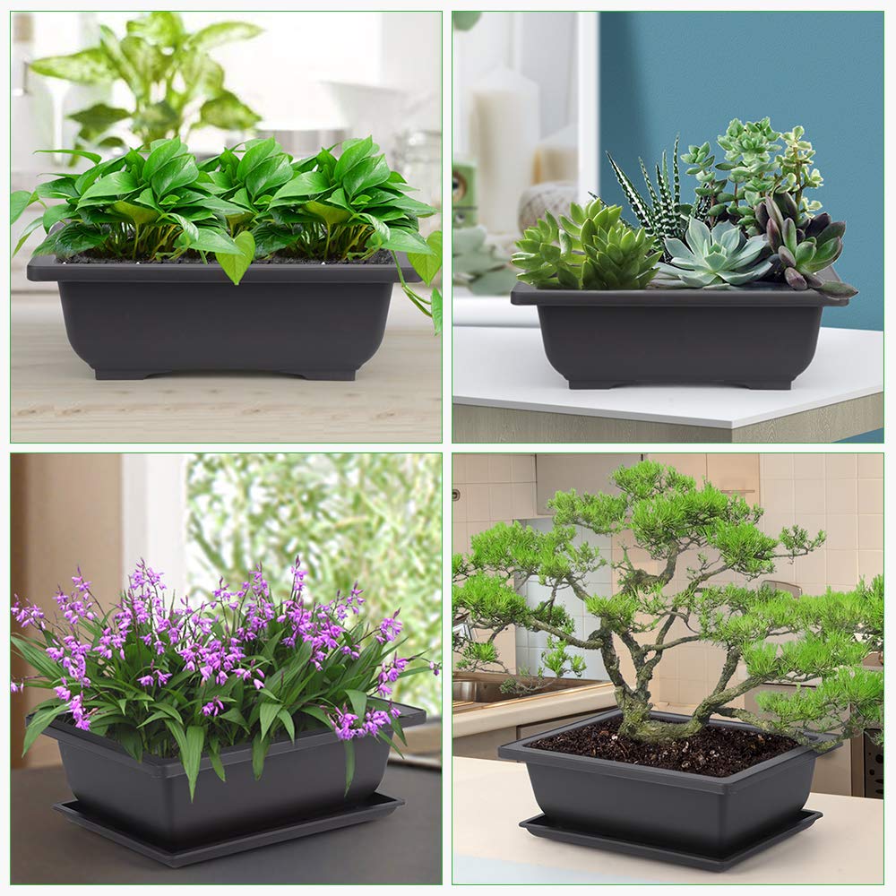 GROWNEER bonsai pots displayed in a garden setting