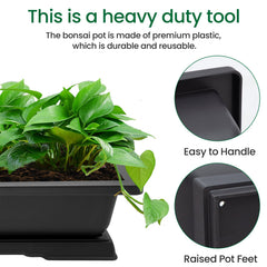 GROWNEER Bonsai Training Pot on a garden table